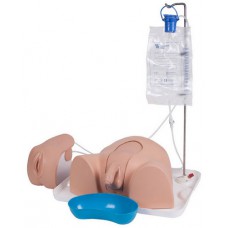 Advanced Catheterisation Trainer - Complete Set