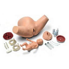 Childbirth Training Torso