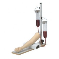 Injection and Blood Sampling Practice Model type I