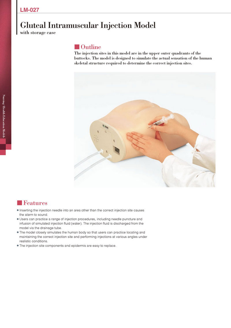 Gluteal Intramuscular Injection Model Bsti Medical Simulator Images